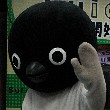 SuicãyMNǉTOPpʐ^