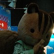 WHF_1を追加ー。のTOP用写真