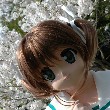 【20080426_木崎の森】桜咲く季節にのTOP用写真