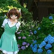 【20080721_夏休み!】緑の。のTOP用写真
