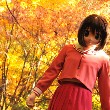 【20081129_朱の世界】紅葉に焼かれて。のTOP用写真