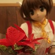 【20081124_喫茶・青風亭】トラットリア!のTOP用写真