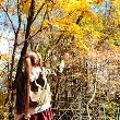 【20101026_紅葉】秋を感じてのTOP用写真