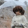 【20101026_紅葉】冬?を感じてのTOP用写真