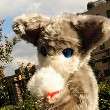 【20101120_けもなー】はじめてのおでかけのTOP用写真